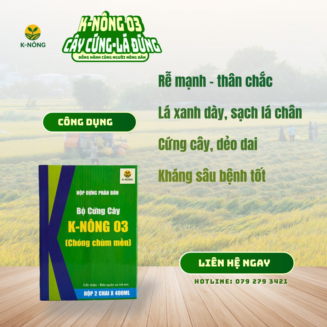 phân bón hữu cơ