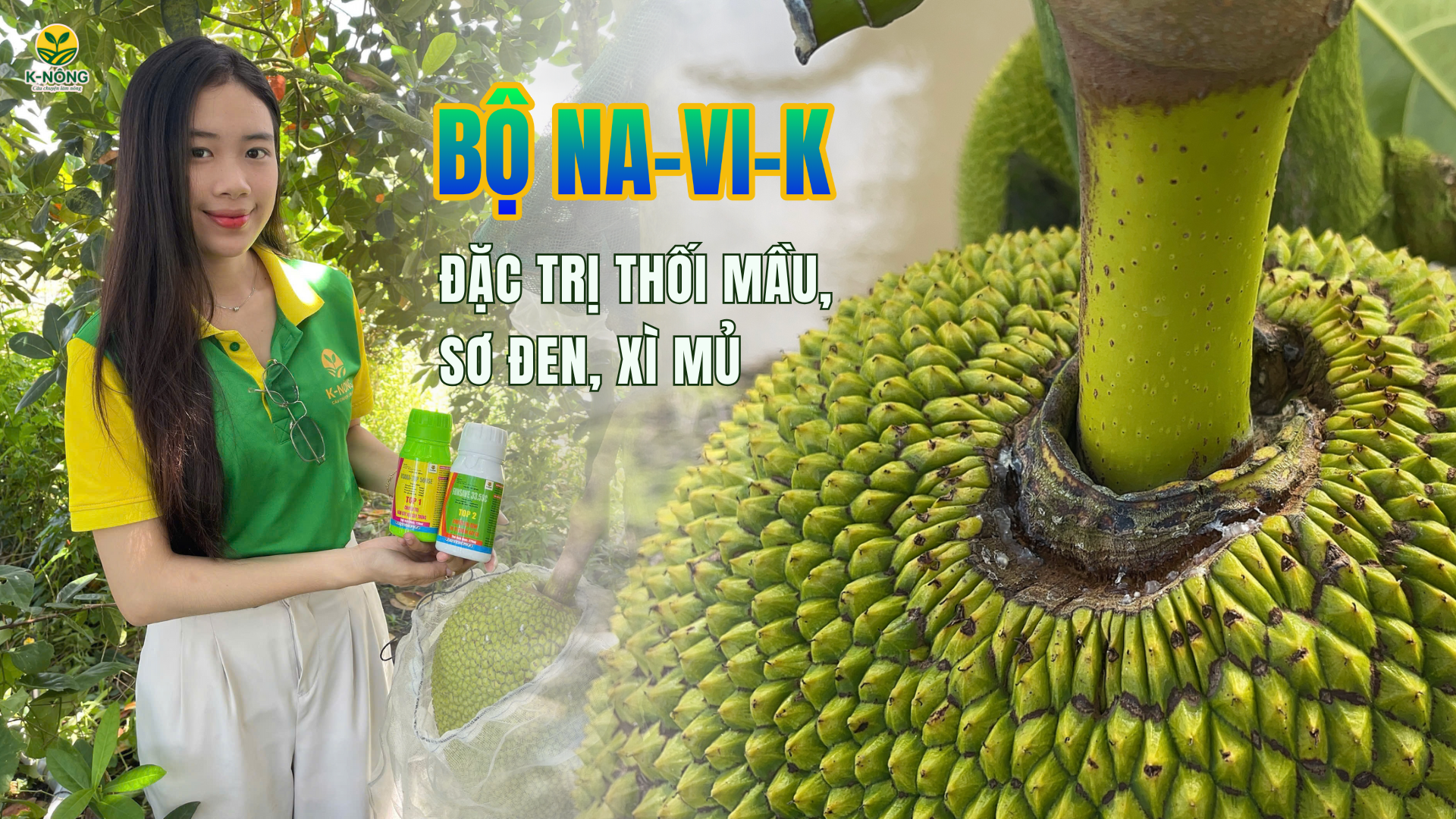 phân bón hữu cơ