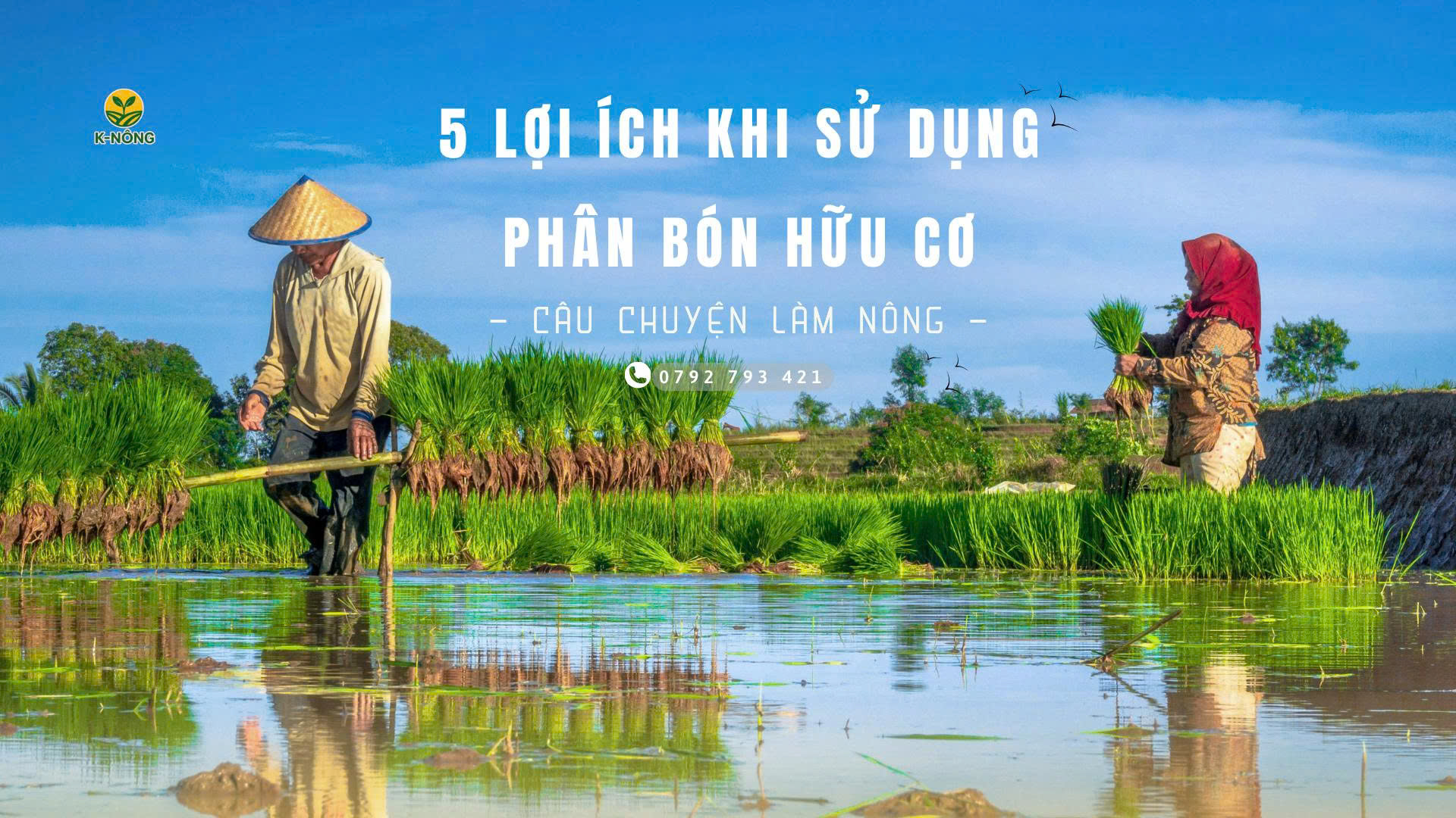 phân bón hữu cơ