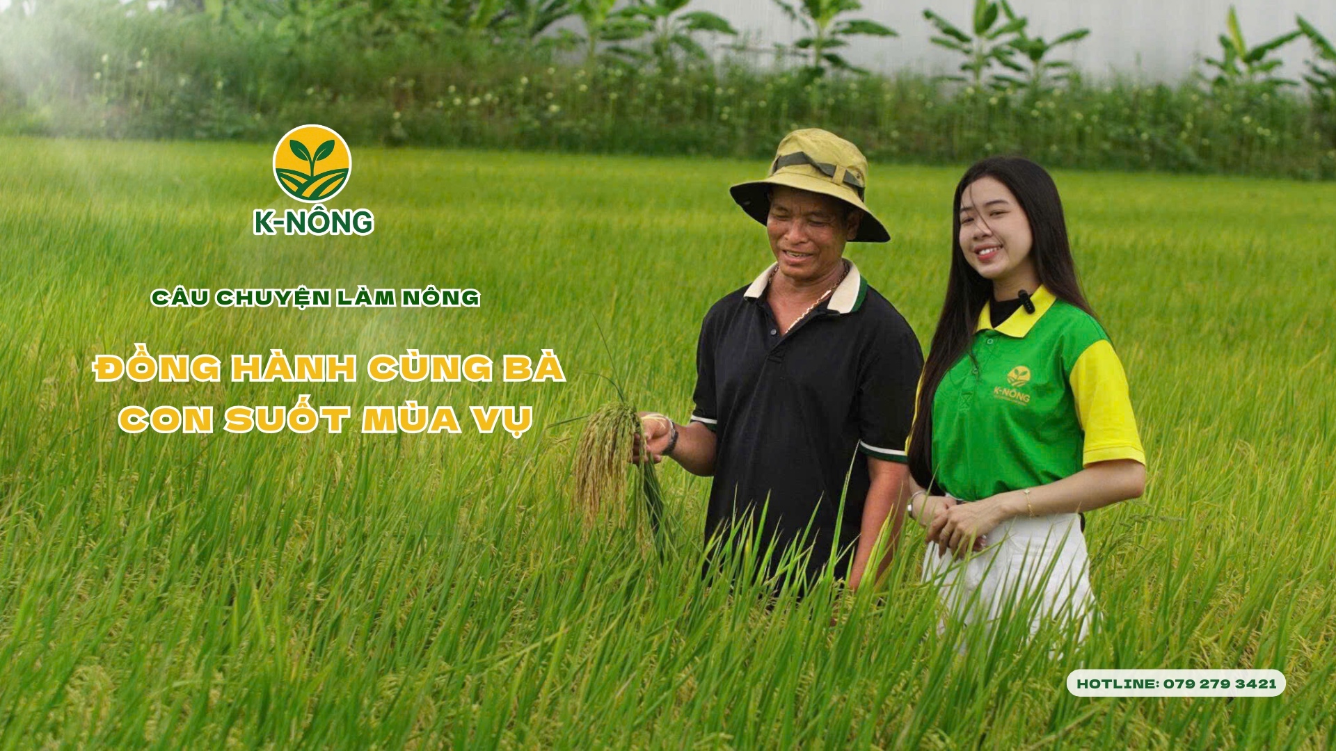 phân bón hữu cơ