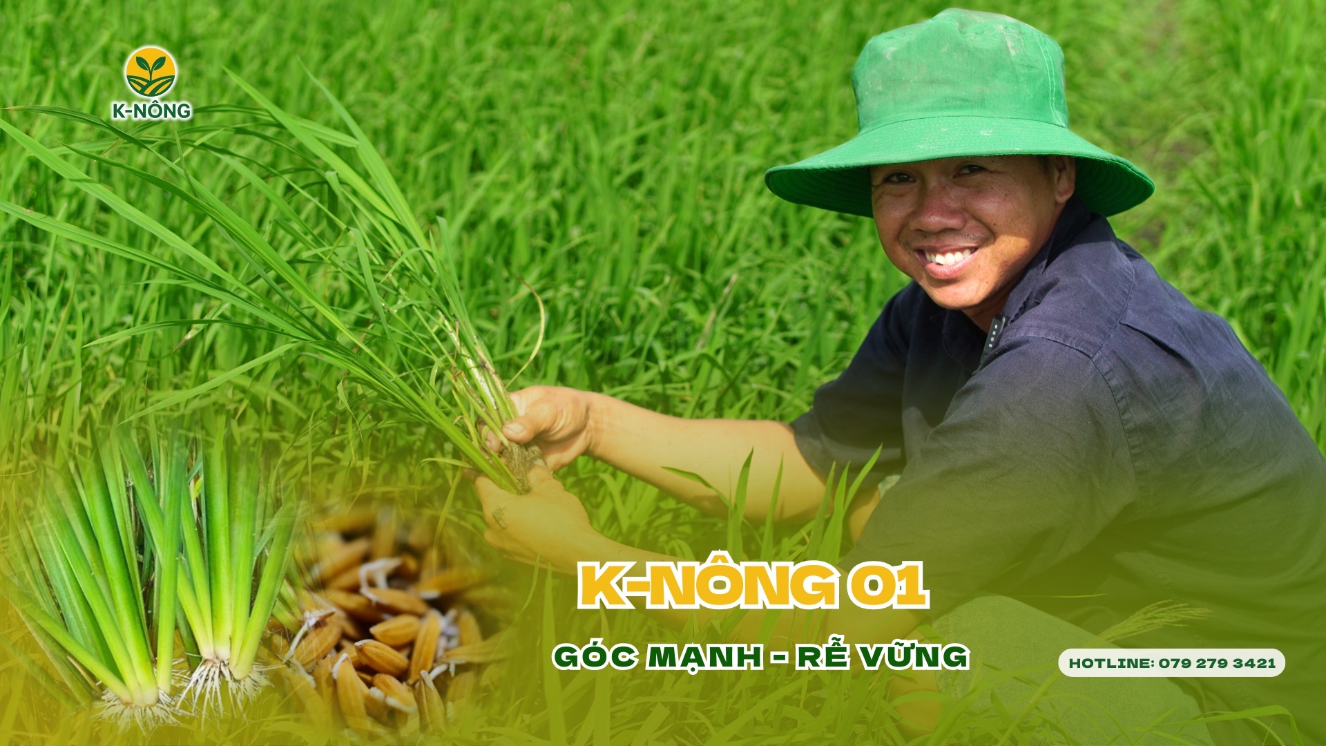 phân bón hữu cơ